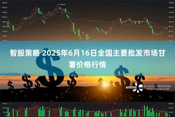 智股策略 2025年6月16日全国主要批发市场甘薯价格行情