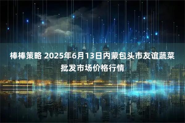 棒棒策略 2025年6月13日内蒙包头市友谊蔬菜批发市场价格行情
