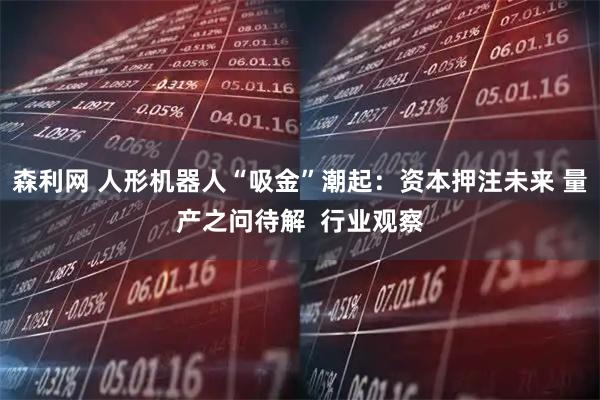 森利网 人形机器人“吸金”潮起：资本押注未来 量产之问待解  行业观察